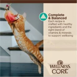 Wellness Tiny Tasters Tuna & Salmon Grain-Free Flaked Wet Cat Food, 1.75-oz Pouch, Case Of 12 17 Wellness Tiny Tasters Tuna & Salmon Grain-Free Flaked Wet Cat Food, 1.75-oz Pouch, Case Of 12 -Meow Meals 363909 PT6. AC SS1800 V1695845856