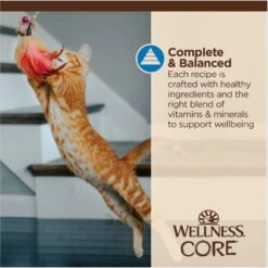 Wellness CORE Tiny Tasters Tuna & Shrimp Grain-Free Flaked Wet Cat Food, 1.75-oz Pouch, Case Of 12 -Meow Meals 363911 PT6. AC SS1800 V1695845856