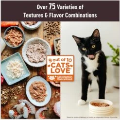 Wellness CORE Tiny Tasters Kitten Chicken Grain-Free Minced Wet Cat Food, 1.75-oz Pouch, Case Of 12 -Meow Meals 363913 PT1. AC SS1800 V1695931920