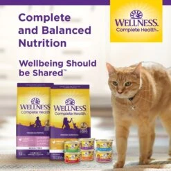 Wellness Complete Health Age Advantage Tuna & Salmon Pate Wet Cat Food -Meow Meals 363923 PT7. AC SS1800 V1643253990