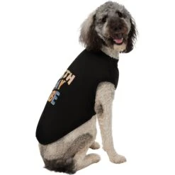 Frisco Birthday Vibe Dog & Cat T-Shirt -Meow Meals 368790 PT4. AC SS1800 V1669100229