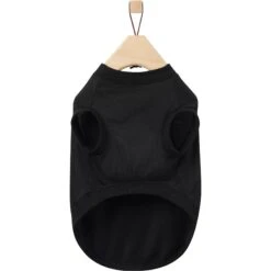 Frisco Birthday Vibe Dog & Cat T-Shirt -Meow Meals 368790 PT5. AC SS1800 V1664992108