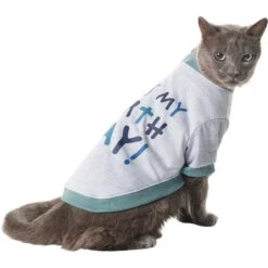 Frisco It's My Birth Day Dog & Cat T-Shirt 11 Frisco It's My Birth Day Dog & Cat T-Shirt -Meow Meals 368808 PT2. AC SS1800 V1669100848