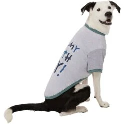 Frisco It's My Birth Day Dog & Cat T-Shirt 12 Frisco It's My Birth Day Dog & Cat T-Shirt -Meow Meals 368808 PT4. AC SS1800 V1669101517