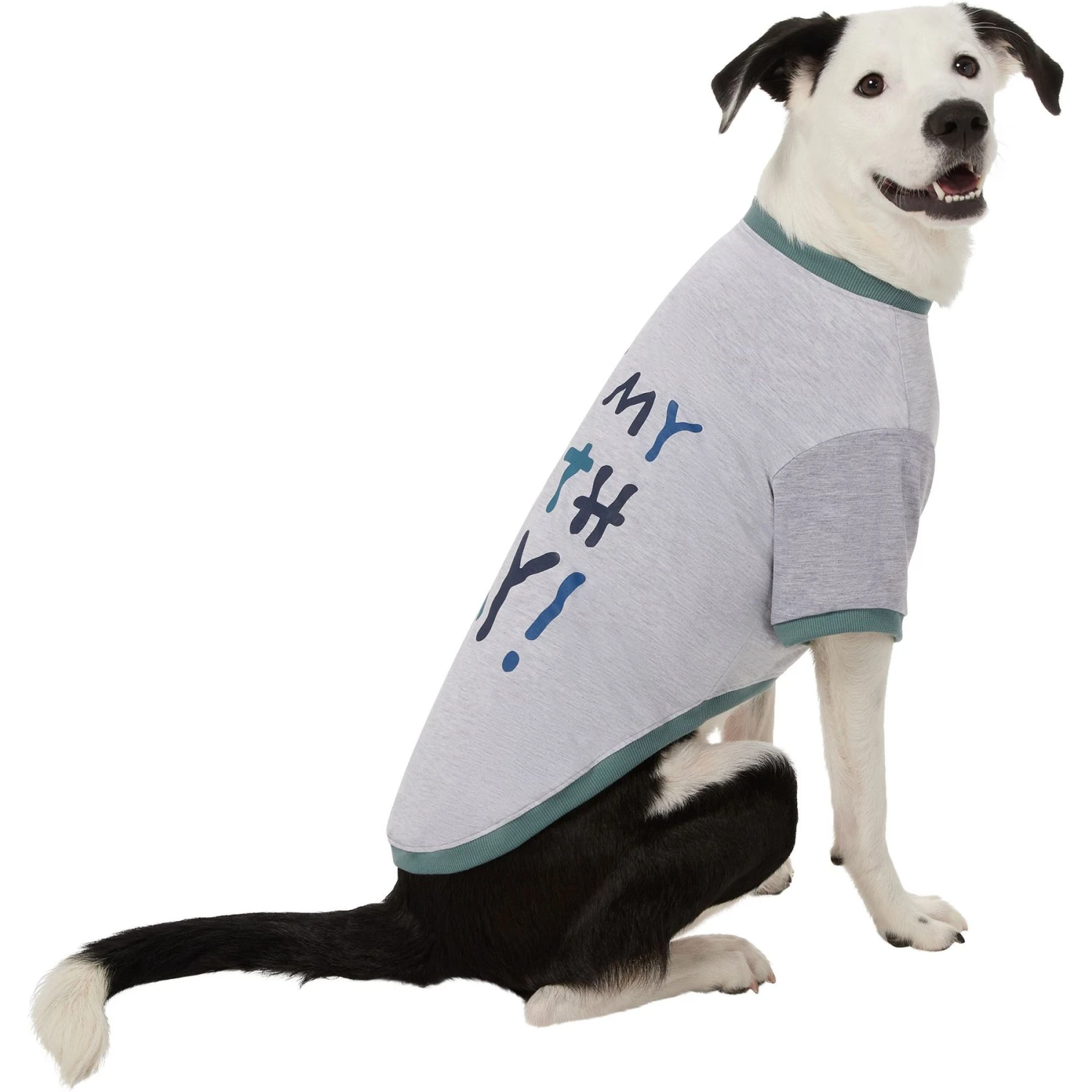 Frisco It's My Birth Day Dog & Cat T-Shirt 6 Frisco It's My Birth Day Dog & Cat T-Shirt - Image 4