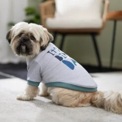 Frisco It's My Birth Day Dog & Cat T-Shirt 14 Frisco It's My Birth Day Dog & Cat T-Shirt -Meow Meals 368808 PT7. AC SS1800 V1664992107