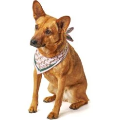 Boulevard Personalized Remy Buckle Dog Bandana -Meow Meals 370162 PT6. AC SS1800 V1649367991