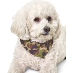Boulevard Personalized Remy Camo Dog Bandana -Meow Meals 370165 PT5. AC SS1800 V1649376722