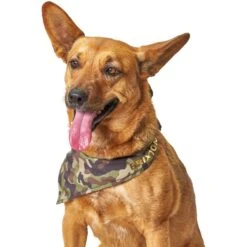 Boulevard Personalized Remy Camo Dog Bandana -Meow Meals 370165 PT6. AC SS1800 V1649376226
