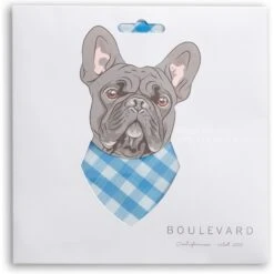 Boulevard Personalized Remy Gingham Dog Bandana -Meow Meals 370168 PT2. AC SS1800 V1649374631