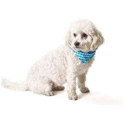 Boulevard Personalized Remy Gingham Dog Bandana -Meow Meals 370168 PT6. AC SS1800 V1649369216
