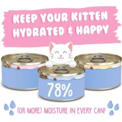 Weruva Kitten Fur Baby Favorites Chicken Flavored Shredded Wet Cat Food Variety Pack, 3-oz Can, Case Of 12 -Meow Meals 373278 PT3. AC SS1800 V1649879824