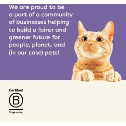 Applaws Gravy Variety Pack Wet Cat Food, 2.12-oz, Case Of 8 -Meow Meals 373479 PT6. AC SS1800 V1649481986