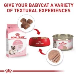 Royal Canin Feline Health Nutrition Mother & Babycat Ultra Soft Mousse In Sauce Canned Cat Food 15 Royal Canin Feline Health Nutrition Mother & Babycat Ultra Soft Mousse In Sauce Canned Cat Food -Meow Meals 48732 PT4. AC SS1800 V1695054084