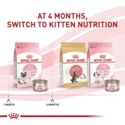 Royal Canin Feline Health Nutrition Mother & Babycat Ultra Soft Mousse In Sauce Canned Cat Food 16 Royal Canin Feline Health Nutrition Mother & Babycat Ultra Soft Mousse In Sauce Canned Cat Food -Meow Meals 48732 PT5. AC SS1800 V1695054506