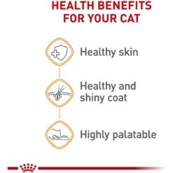 Royal Canin Feline Care Nutrition Hair & Skin Care Thin Slices In Gravy Canned Cat Food, 3-oz, Case Of 24 -Meow Meals 48737 PT3. AC SS1800 V1697758536