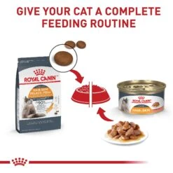 Royal Canin Feline Care Nutrition Hair & Skin Care Thin Slices In Gravy Canned Cat Food, 3-oz, Case Of 24 -Meow Meals 48737 PT5. AC SS1800 V1697753707
