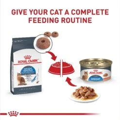 Royal Canin Feline Care Nutrition Weight Care Adult Thin Slices In Gravy Canned Cat Food -Meow Meals 48738 PT5. AC SS1800 V1694790517