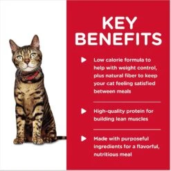 Hill's Science Diet Adult Light Liver & Chicken Entree Canned Cat Food 14 Hill's Science Diet Adult Light Liver & Chicken Entree Canned Cat Food -Meow Meals 48963 PT3. AC SS1800 V1598157360