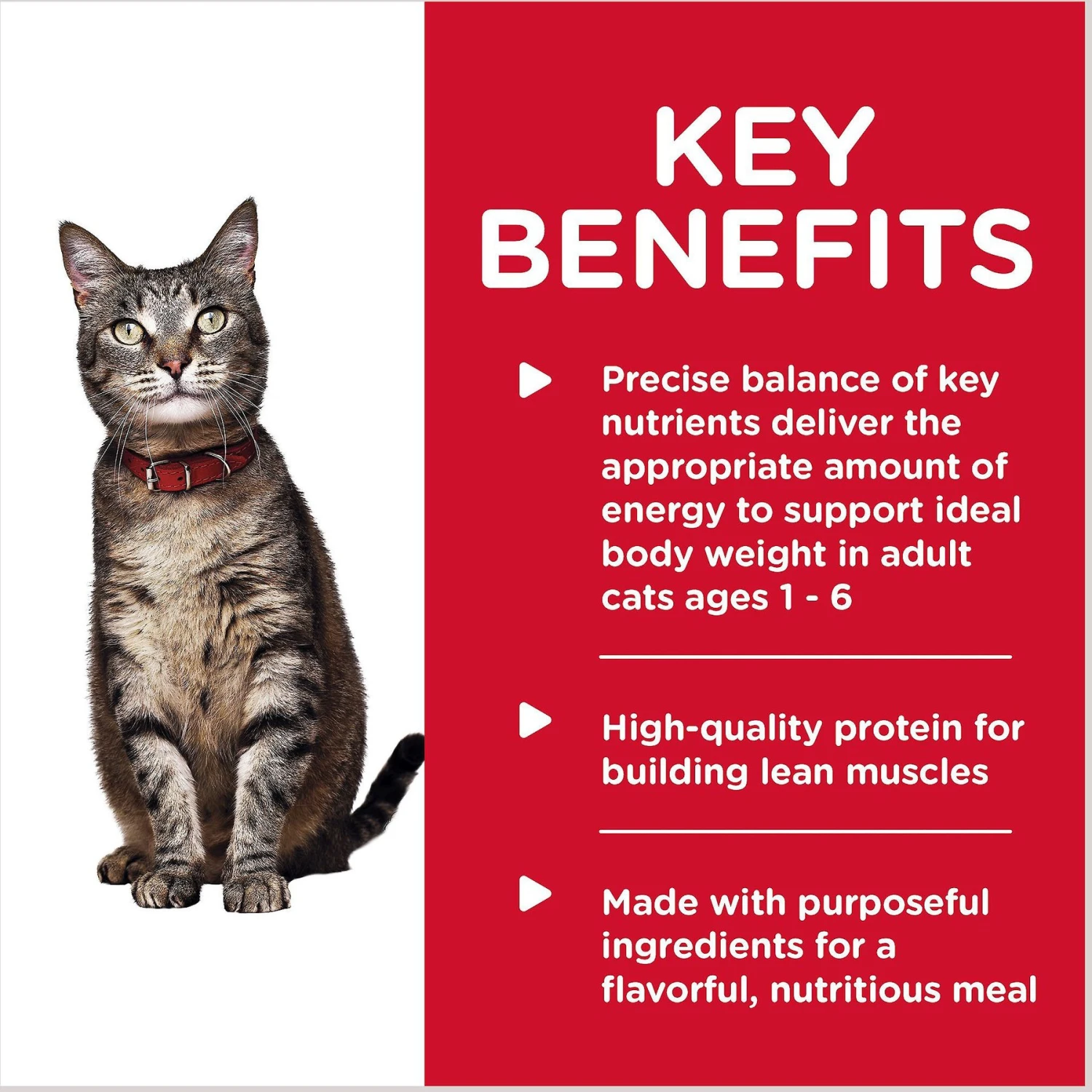 Hill's Science Diet Adult Savory Turkey Entree Canned Cat Food 6 Hill's Science Diet Adult Savory Turkey Entree Canned Cat Food - Image 4