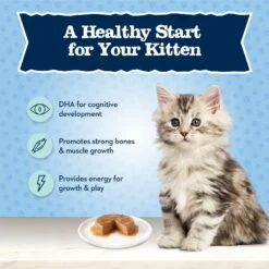 Blue Buffalo Baby Blue Healthy Growth Formula Grain-Free High Protein Salmon Recipe Kitten Wet Food, 3-oz Cans, Case Of 24 -Meow Meals 502278 PT3. AC SS1800 V1647636713