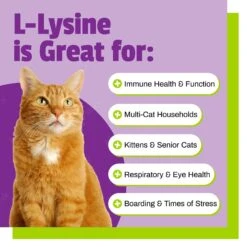 Pet Naturals L-Lysine Cat Chews -Meow Meals 50377 PT2. AC SS1800 V1484768851