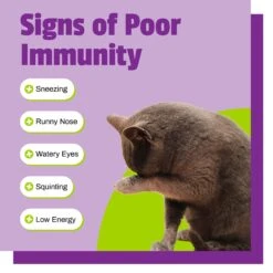 Pet Naturals L-Lysine Cat Chews -Meow Meals 50377 PT3. AC SS1800 V1484768854