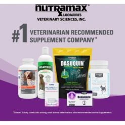 Nutramax Dasuquin Hip & Joint Capsules Joint Supplement For Cats -Meow Meals 50684 PT7. AC SS1800 V1668631969