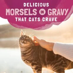 Natural Balance Platefulls Indoor Formula Turkey, Salmon & Chicken In Gravy Grain-Free Cat Food Pouches -Meow Meals 50932 PT7. AC SS1800 V1688567918