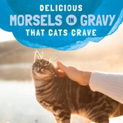 Natural Balance Platefulls Indoor Formula Mackerel & Sardine In Gravy Grain-Free Cat Food Pouches 18 Natural Balance Platefulls Indoor Formula Mackerel & Sardine In Gravy Grain-Free Cat Food Pouches -Meow Meals 50934 PT7. AC SS1800 V1677532157