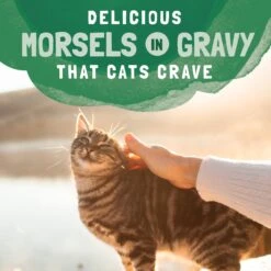 Natural Balance Platefulls Chicken & Giblets Formula In Gravy Grain-Free Cat Food Pouches -Meow Meals 50938 PT7. AC SS1800 V1675455580