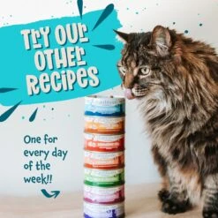 Earthborn Holistic Monterey Medley Grain-Free Natural Canned Cat & Kitten Food -Meow Meals 51277 PT7. AC SS1800 V1684524203