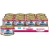 Blue Buffalo Wilderness Wild Delights Chicken & Salmon In Tasty Gravy Grain-Free Canned Cat Food -Meow Meals 51765 MAIN. AC SS1800 V1646780808