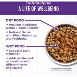 Wellness Morsels Chicken Entree Grain-Free Canned Cat Food -Meow Meals 52110 PT6. AC SS1800 V1695839117