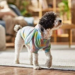 Frisco Wash Effect Bunny Ear Hoodie -Meow Meals 521374 PT7. AC SS1800 V1699653757