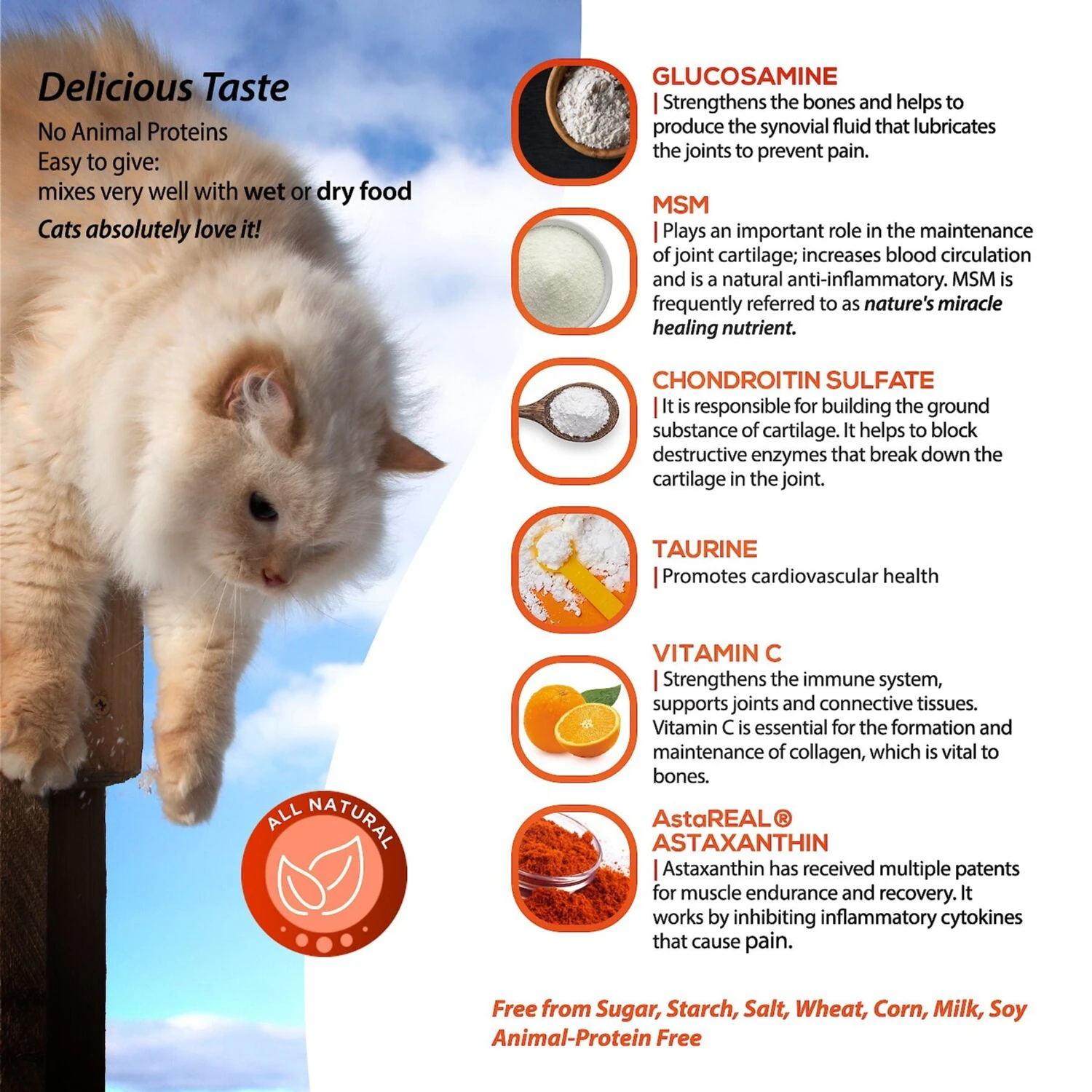 Animal Nutritional Products ArthriMAXX Liquid Joint Support & Antioxdant Cat Supplement, 6-oz Bottle 11 Animal Nutritional Products ArthriMAXX Liquid Joint Support & Antioxdant Cat Supplement, 6-oz Bottle - Image 9