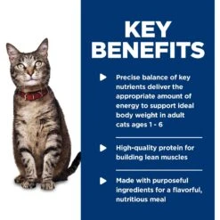 Hill's Science Diet Adult Tender Ocean Fish Dinner Canned Cat Food -Meow Meals 52765 PT4. AC SS1800 V1598153504