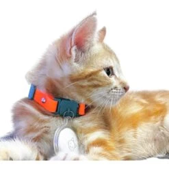 Kittyrama Kitten Breakaway Adjustable With Bell Cat Collar -Meow Meals 534390 PT2. AC SS1800 V1652979984