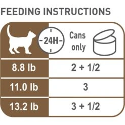 Royal Canin Aging 12+ Thin Slices In Gravy Canned Cat Food -Meow Meals 54340 PT2. AC SS1800 V1698094654