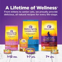 Wellness Complete Health Age Advantage Grain-Free Variety Pack Wet Cat Food, 3-oz Can, Case Of 24 -Meow Meals 548950 PT6. AC SS1800 V1657748947