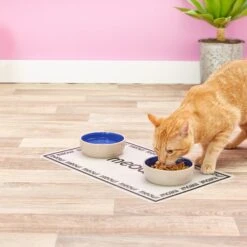 PetRageous Designs Meow Placemat 5 PetRageous Designs Meow Placemat -Meow Meals 54973 PT7. AC SS1800 V1517251242