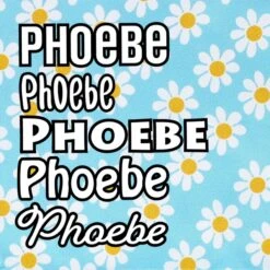 Frisco Personalized Blue Daisy Bandana -Meow Meals 555206 PT4. AC SS1800 V1669839927