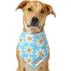 Frisco Personalized Blue Daisy Bandana -Meow Meals 555206 PT7. AC SS1800 V1669839925