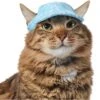 Frisco Blue Ocean Waves 30 + UPF Dog & Cat Beach Cap -Meow Meals 556182 MAIN. AC SS1800 V1677530963