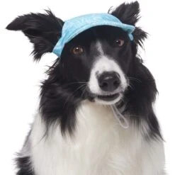Frisco Blue Ocean Waves 30 + UPF Dog & Cat Beach Cap -Meow Meals 556182 PT3. AC SS1800 V1677530963
