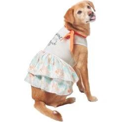 Frisco Tropical State Of Mind Dog & Cat Dress -Meow Meals 556742 PT3. AC SS1800 V1675103177