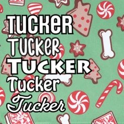 Frisco Gingerbread Treats Personalized Dog & Cat Bandana -Meow Meals 564502 PT4. AC SS1800 V1660250970