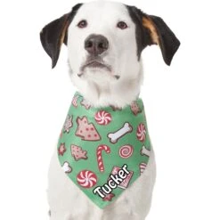 Frisco Gingerbread Treats Personalized Dog & Cat Bandana -Meow Meals 564502 PT6. AC SS1800 V1660405305