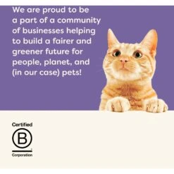 Applaws Fish Selection In Broth Variety Pack Wet Cat Food -Meow Meals 566486 PT6. AC SS1800 V1657659867