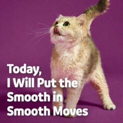 Vibeful Probiotic Gastrointestinal Support Powder Digestive Supplement For Cats 17 Vibeful Probiotic Gastrointestinal Support Powder Digestive Supplement For Cats -Meow Meals 574246 PT6. AC SS1800 V1669760969